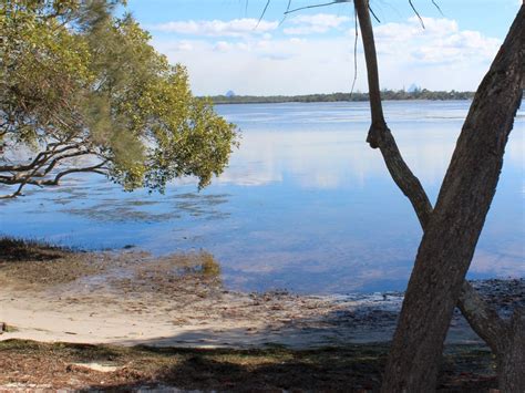 Lions Park day-use area | Bribie Island National Park and Recreation Area | Parks and forests ...