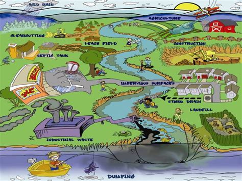 The Sources and Impacts of Water Pollution - Soapboxie