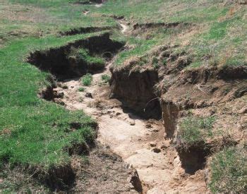 Soil erosion - Definition and meaning | Ecological Problems