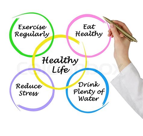 Diagram of healthy life | Stock image | Colourbox