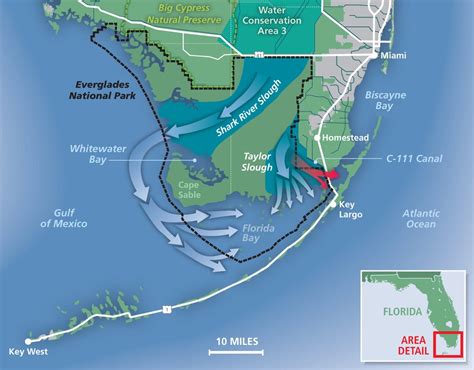 Florida Bay: A Unique Everglades Estuary | by Everglades Foundation ...