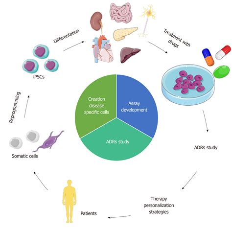 Induced pluripotent stem cells for therapy personalization in pediatric ...