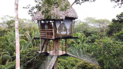 Gallery of Incredible Amazon Images | Treehouse Lodge