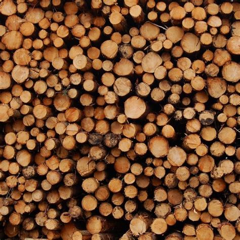 Logs in a log pile © John Allan cc-by-sa/2.0 :: Geograph Britain and Ireland