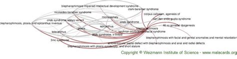 Blepharophimosis disease: Malacards - Research Articles, Drugs, Genes, Clinical Trials