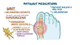 Anti-gout Diet: Foods to Eat, Foods to Avoid, and More | Osmosis