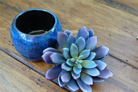 Mini plant pod- small succulent pot- mini succulent pot- small plant pot- handmade ceramic pot ...