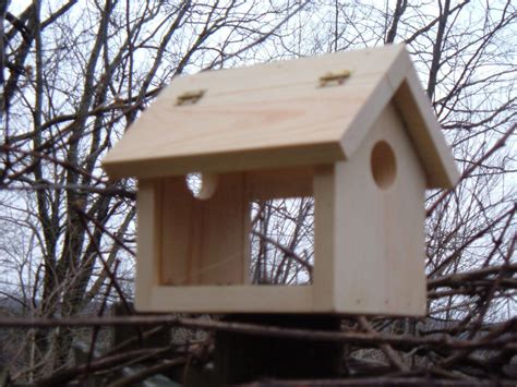 Bluebird Feeder Plans: How to Make a Bluebird Feeder #howtomakeabirdhouse | Bird house kits ...