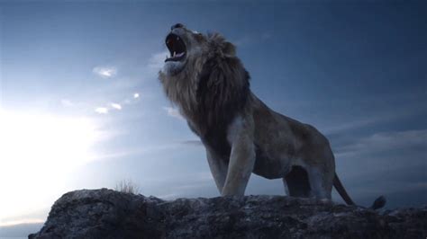 Lion Roaring 4K Ultra HD Wallpapers - Top Free Lion Roaring 4K Ultra HD Backgrounds ...