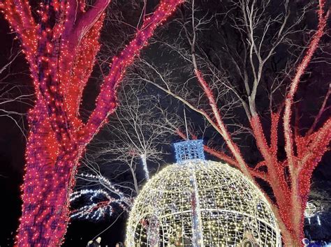 ULTIMATE Guide to the Detroit Zoo Lights in 2024