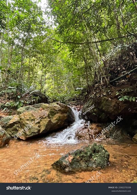 Mini Waterfall Middle Forest Gunung Lambak Stock Photo 2392275339 ...