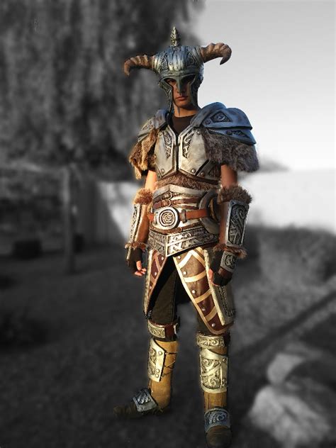 Skyrim steel armor cosplay - Elder Scrolls V : Skyrim Photo (42948701 ...