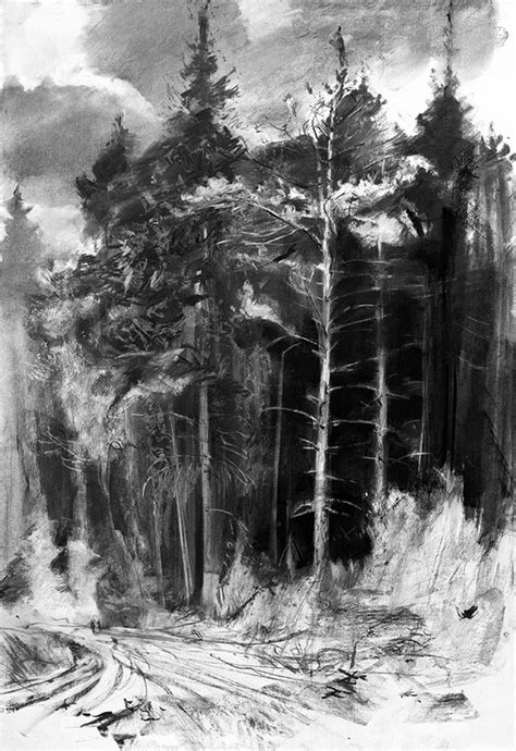 Far Forest - by Charcoal