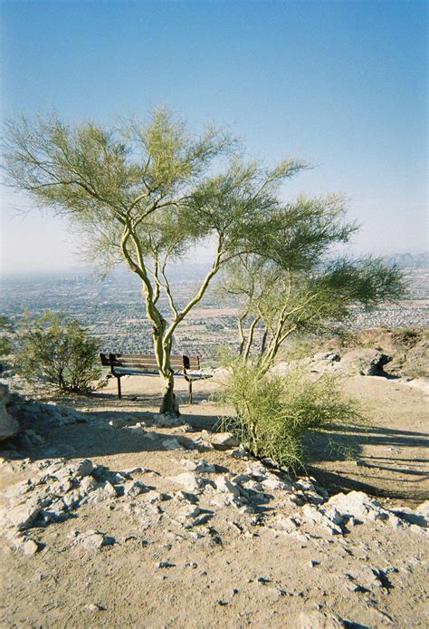 South Mountain Park, Phoenix, Arizona Beautiful at dust to watch the city lights come on ...