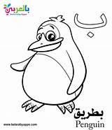 Free Arabic Alphabet Coloring Pages For Kindergarten ⋆ Belarabyapps sketch template