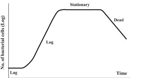 CuriouSTEM - What is the Bacterial Growth Curve?