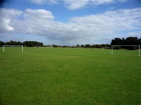 Wanstead Flats - Image to u