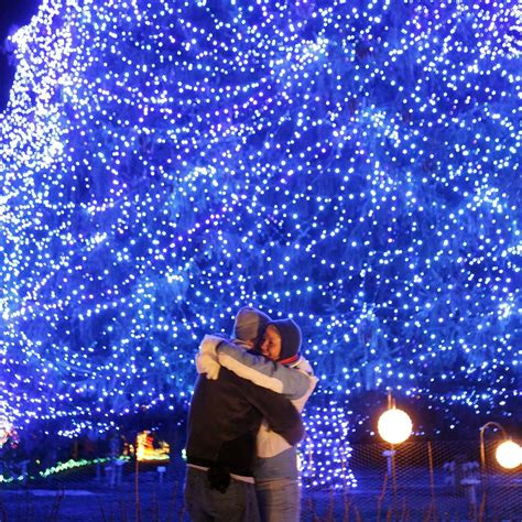 Toledo Zoo Lights Before Christmas 2020 Hours | Christmas 2020