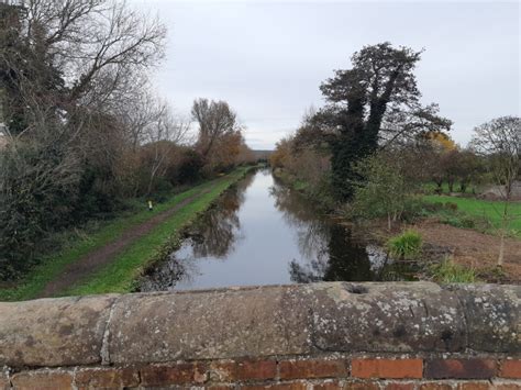 Dog walk at Trent & Mersey Canal Path (Burton) · Staffordshire · Walkiees