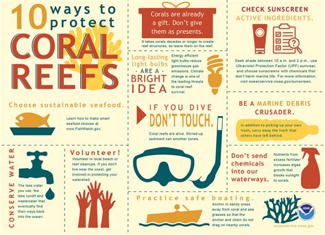 The Importance of Coral Reefs and Ways we can Protect Them | envproblems2016