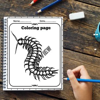 Leggy Predators: Chilopoda Anatomy-Word search-Labeling-Worksheet-Coloring pages