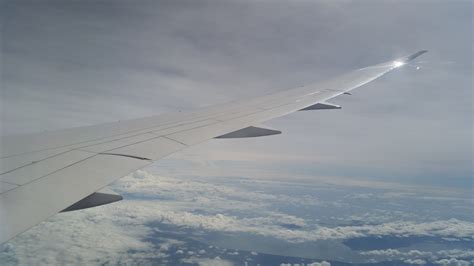 Boeing 787 wing during flight : aviation