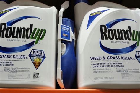 Monsanto faces first US trial over Roundup cancer link