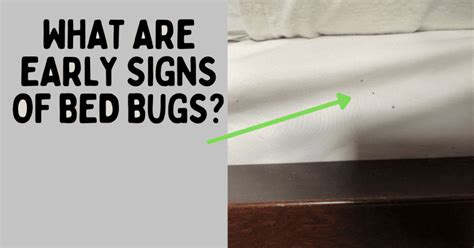 10 Early Signs of Bed Bugs | Orion Pest Solutions