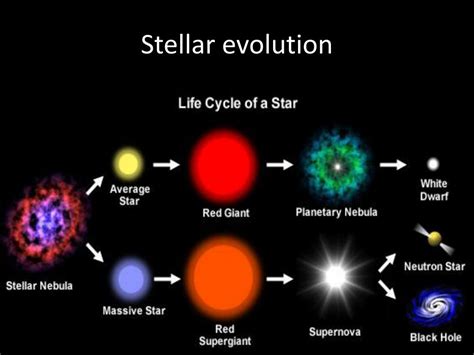 PPT - E5 stellar processes and stellar evolution (HL only) PowerPoint Presentation - ID:5601842