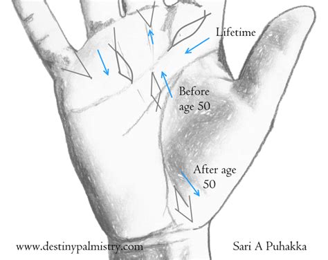 Fish Sign on the Palm Indian Palmistry - Destiny Palmistry