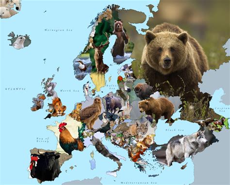 Europe’s national animals. - Maps on the Web