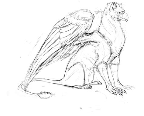 The best free Gryphon drawing images. Download from 74 free drawings of Gryphon at GetDrawings