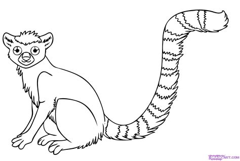 14 lemur coloring page to print - Print Color Craft