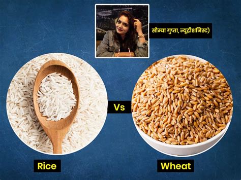 Rice vs Wheat : चावल या रोटी? न्यूट्रीशनिस्ट से जानें इनमें मौजूद पोषक तत्व और वजन घटाने के लिए ...