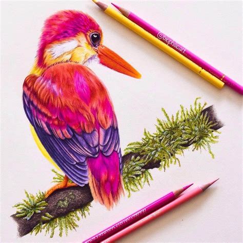 Animals Drawing Pictures In Colour