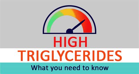 High triglycerides causes, symptoms, high triglycerides diet and treatment