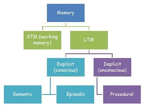 Types Of Long Term Memory - Psychology Hub