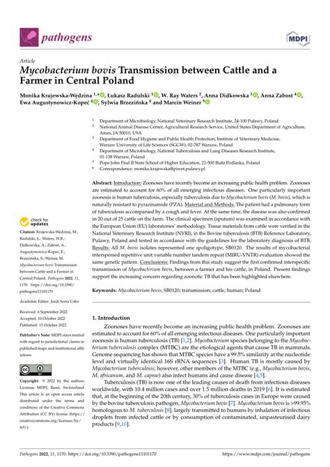 (PDF) Mycobacterium bovis Transmission between Cattle and a Farmer in ...