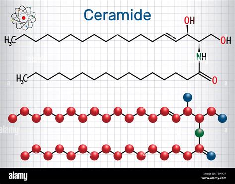 Ceramide Structure