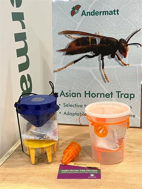 New Asian Hornet Trap Launch