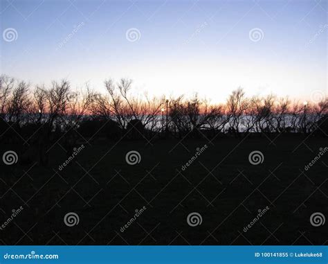 Beautiful Sea Sunset with Coastal Vegetation Silhouette Panorama at Livorno . Tuscany, Italy ...