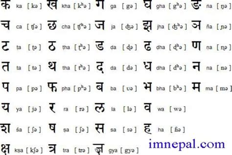 Nepali Language : Learn Basic Nepali Words That Are Most Used In Nepal