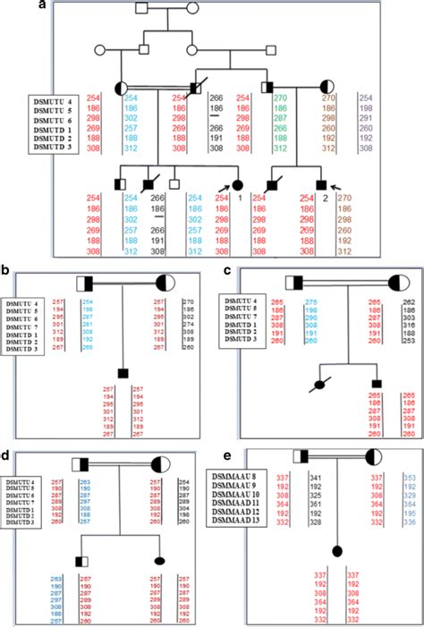 The figure shows haplotype analysis of the families with novel ...