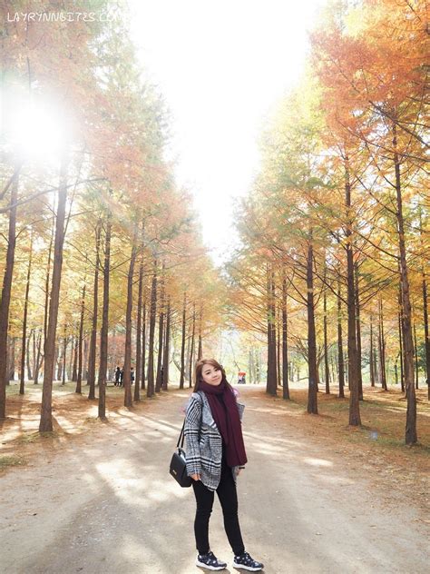 AUTUMN IN NAMI ISLAND | SEOUL, KOREA | Autumn in korea, Nami island, Nami island autumn