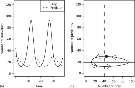 (a) The standard Lotka-Volterra predator-prey model results in ...