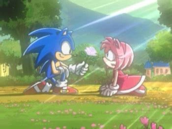 Sonic And Amy Hugging Sonic X