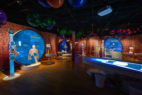 New exhibit at the AMNH explores the world inside you - silive.com