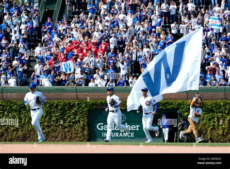 Chicago Cubs outfielders from left, Ian Happ, Seiya Suzuki, and Cody Bellinger run to celebrate ...