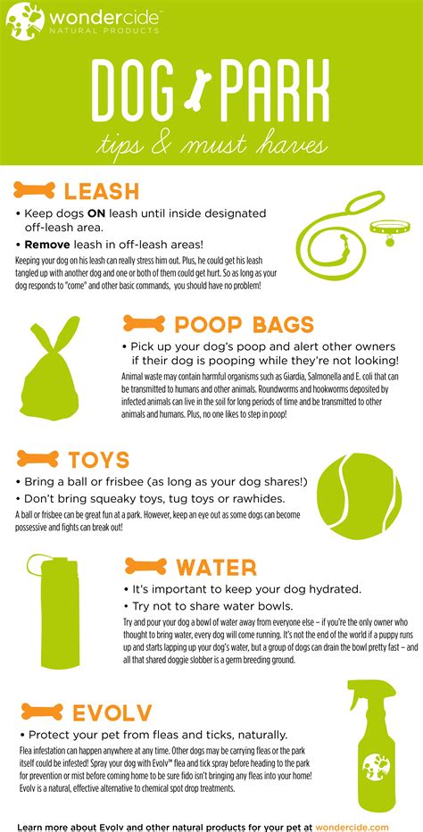 Infographic: Dog Park Tips & Must Haves « Wondercide Blog