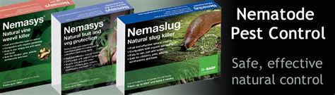 Nematode Pest Control | Pest control, Pests, Nematode